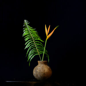 Glauconite Rock Squat Bulbous Vase - Limited Edition